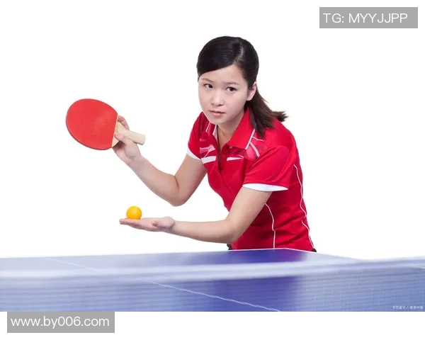 运动数据乒乓球技艺探秘杭州乒乓球队快攻战术的深度解析与实践